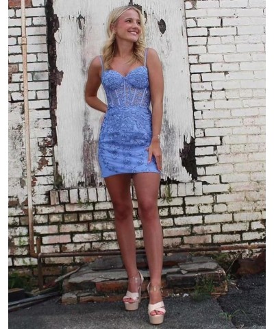 Homecoming Dresses for Teens Short Tight Lace Appliques Homecoming Dress Sweetheart Spaghetti Straps Prom Party Dress Dusty B...