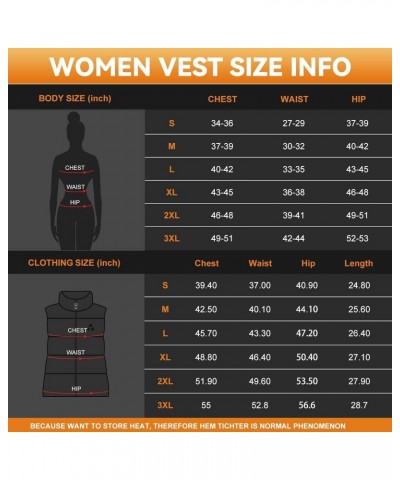 Heated Vest Women, (Battery Pack Not Included) Smart Controller With Lights-out, Electric Warming Heated Jackets $20.64 Vests