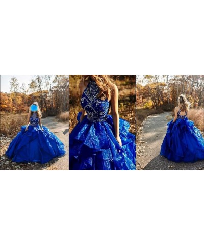 Women's 2 Piece Beaded Quinceanera Dresses Sweet 16 Prom Party Organza Ball Gown 1-royal Blue $66.30 Dresses