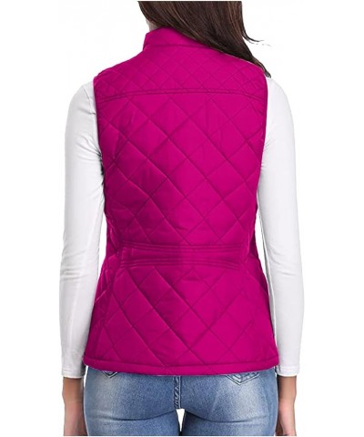 Women's Quilted Vest, Puffer Sleeveless Jacket for Women, Stand Collar Lightweight Zip Padded Gilet Warm Waistcoat Hot Pink $...