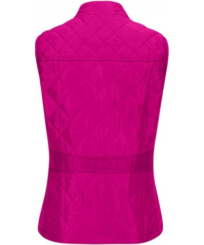 Women's Quilted Vest, Puffer Sleeveless Jacket for Women, Stand Collar Lightweight Zip Padded Gilet Warm Waistcoat Hot Pink $...