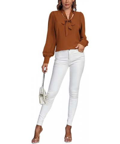 Women's Elegant Bow Tie Neck Long Sleeve Blouse Office Top Shirt Brown $18.87 Blouses