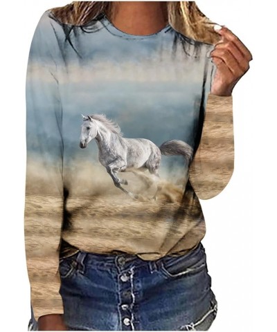 Horses T Shirt Women Funny Graphic Tees Long Sleeve Crew Neck Shirts Casual Loose Fit Blouses Horse Lover T-Shirt Gift 01 sky...