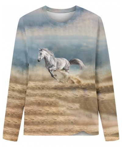 Horses T Shirt Women Funny Graphic Tees Long Sleeve Crew Neck Shirts Casual Loose Fit Blouses Horse Lover T-Shirt Gift 01 sky...