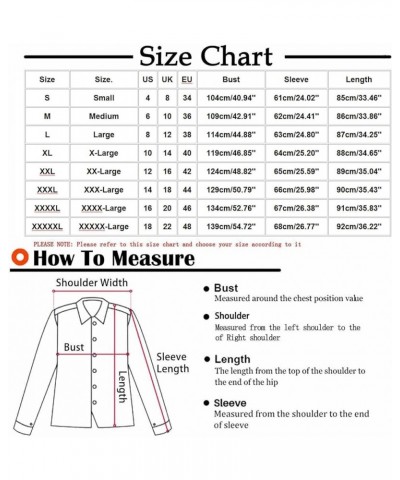 Warm Fleece Vest Coats for Women Fall Winter Sleeveless Jacket Zip Jackets Solid Color Outerwear with Pockets Bodywarmer 02 B...